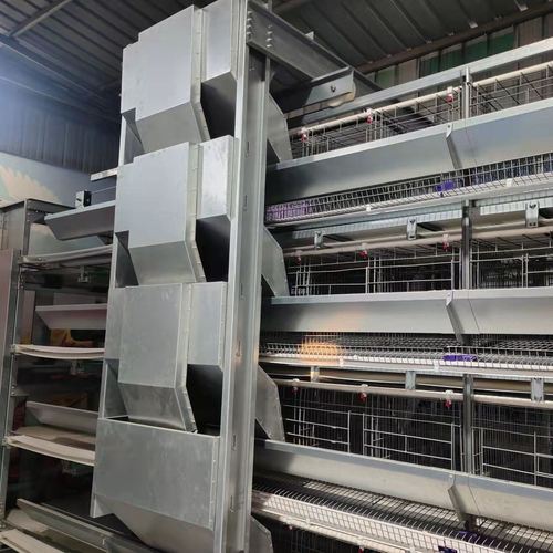 河南 厂家直销 畜牧养殖机械设备 五层层叠蛋鸡笼 全自动捡蛋机